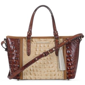 Brahmin Medina Chino Small Asher Satchel