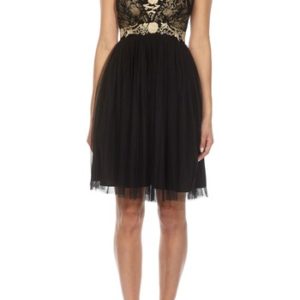 Women's Lace & Beads Embroidered Mesh Skater Dress