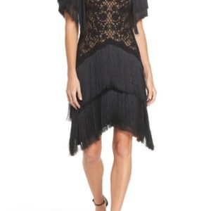 Women's Tadashi Shoji Off The Shoulder Fringe & Embroidered Mesh Dress