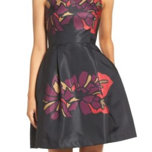 Women's Taylor Dresses Placed Floral Fit & Flare Dress