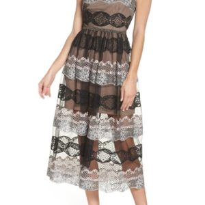 Women's Bronx And Banco Caprese Lace & Mesh Cocktail Dress