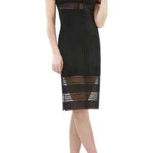 Women's Js Collections Graphic Lace Body-Con Cocktail Dress